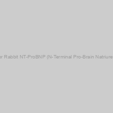 Image of ELISA kit for Rabbit NT-ProBNP (N-Terminal Pro-Brain Natriuretic Peptide)
